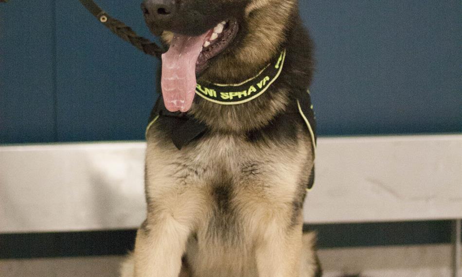 2016-8-25-1140foto 6.jpg